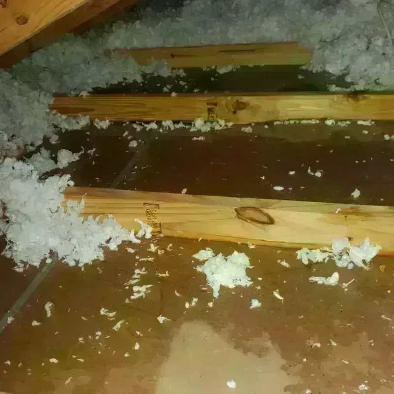 Attic Water Damage in Knox, PA