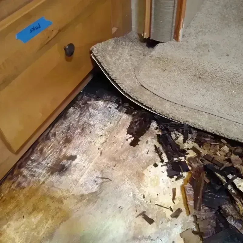 Wood Floor Water Damage in Knox, PA